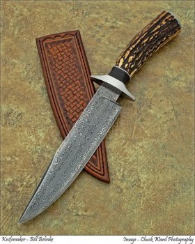 stag bowie.jpg