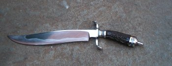 stag bowie 019.jpg