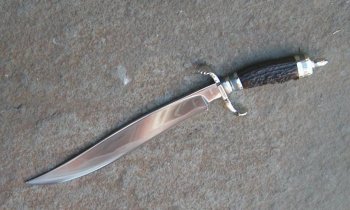 stag bowie 033.jpg