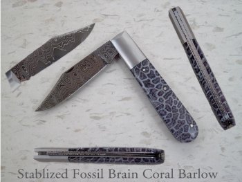 stablized fossil brain coral barlow.jpg