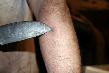 Chop test 086.jpg Chop test 086.jpg