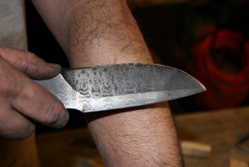 Chop test 085.jpg Chop test 085.jpg