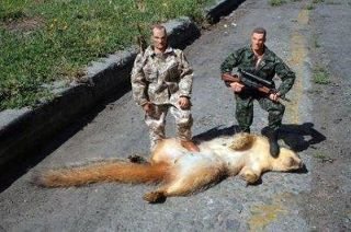 GI Joes and dead squirrel.jpg