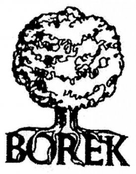 BOREK LOGO 082011.jpg