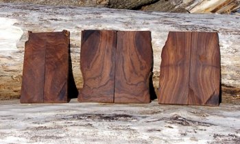 Ironwood Scales.jpg