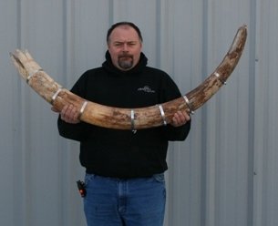 mammoth tusk.jpg