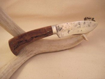 Small 552 600x450.jpg