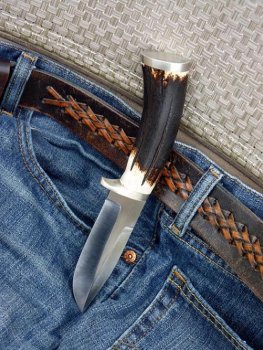 StagD2Hunter3.jpg