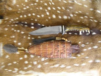 Gator Bowie2.jpg Gator Bowie2.jpg