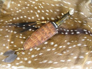 Gator Bowie3.jpg Gator Bowie3.jpg