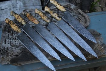 IMG_3902 (800x533).jpg