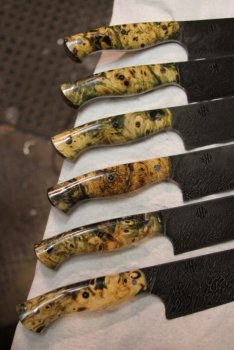 IMG_3704 (800x533).jpg