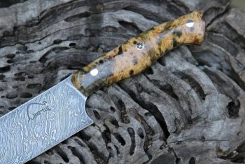 IMG_4047 (800x533).jpg