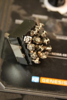 IMG_4619 (533x800).jpg