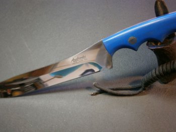 FishL6.jpg