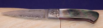 engraved-blacklip-1.jpg