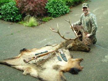 Bull Elk 6[1].jpg