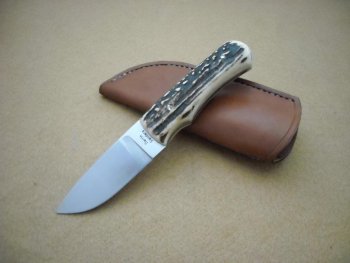 CPM 154 & Stag 002.jpg