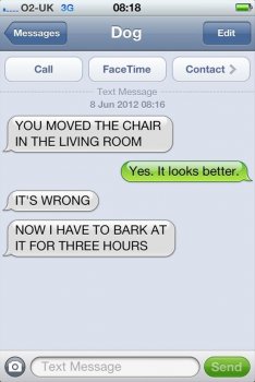 funny-texts-from-dog-you-moved-the-chair.jpg