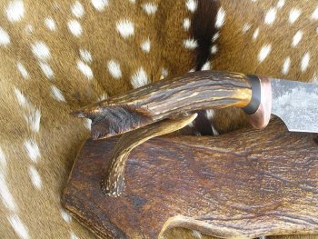 Broken Horn 003.jpg