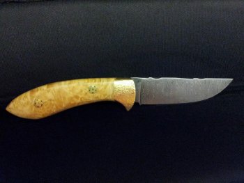 boxelder.jpg boxelder.jpg