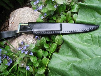 Nya 006 (600 x 450).jpg