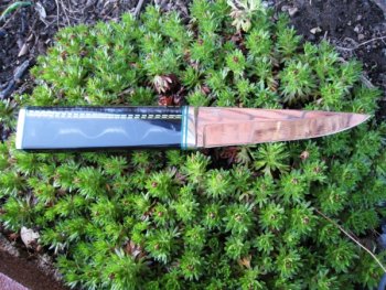 Light 001 (600 x 450).jpg