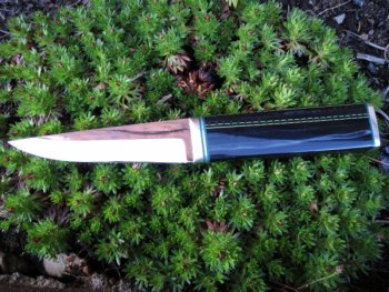 Light 002 (600 x 450).jpg