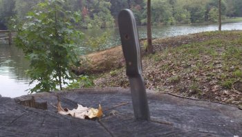 2013-09-29_10-39-31_111.jpg