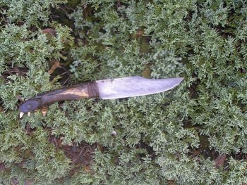 Cable My Knife 023.jpg