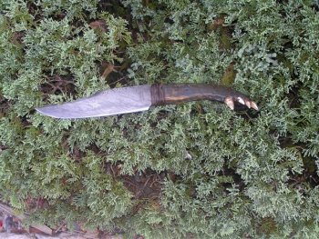 Cable My Knife 024.jpg