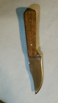 IMAG0174.jpg