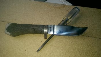 IMAG0278.jpg