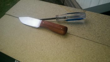 IMAG0280.jpg
