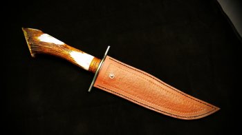 IMAG0224.jpg
