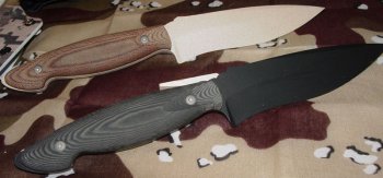 Desert Sands and Blk and Tan.jpg