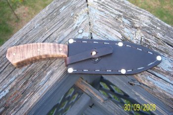 Download Nov 13th 051.jpg