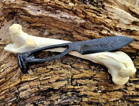 20260219_093402(1).jpg 20260219_093402(1).jpg